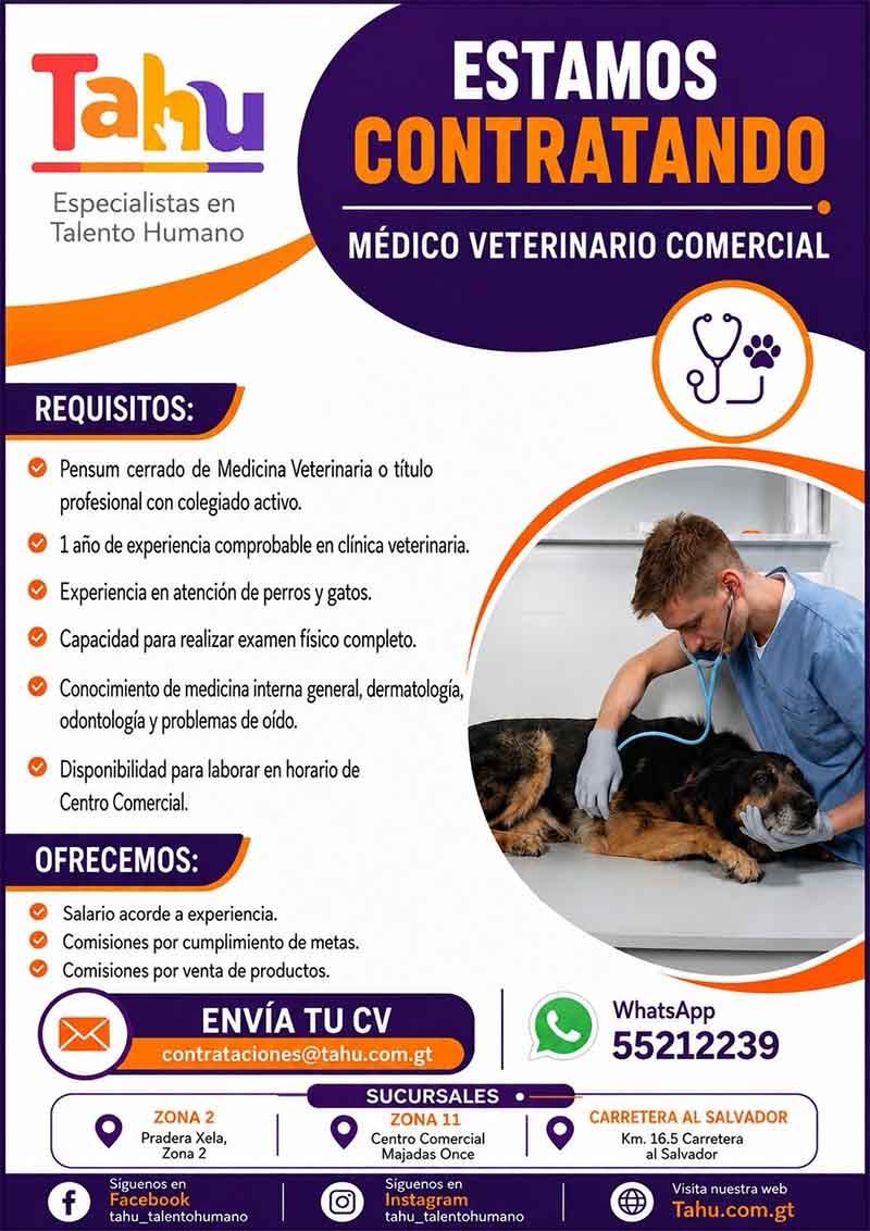 Inicio médico veterinario comercial