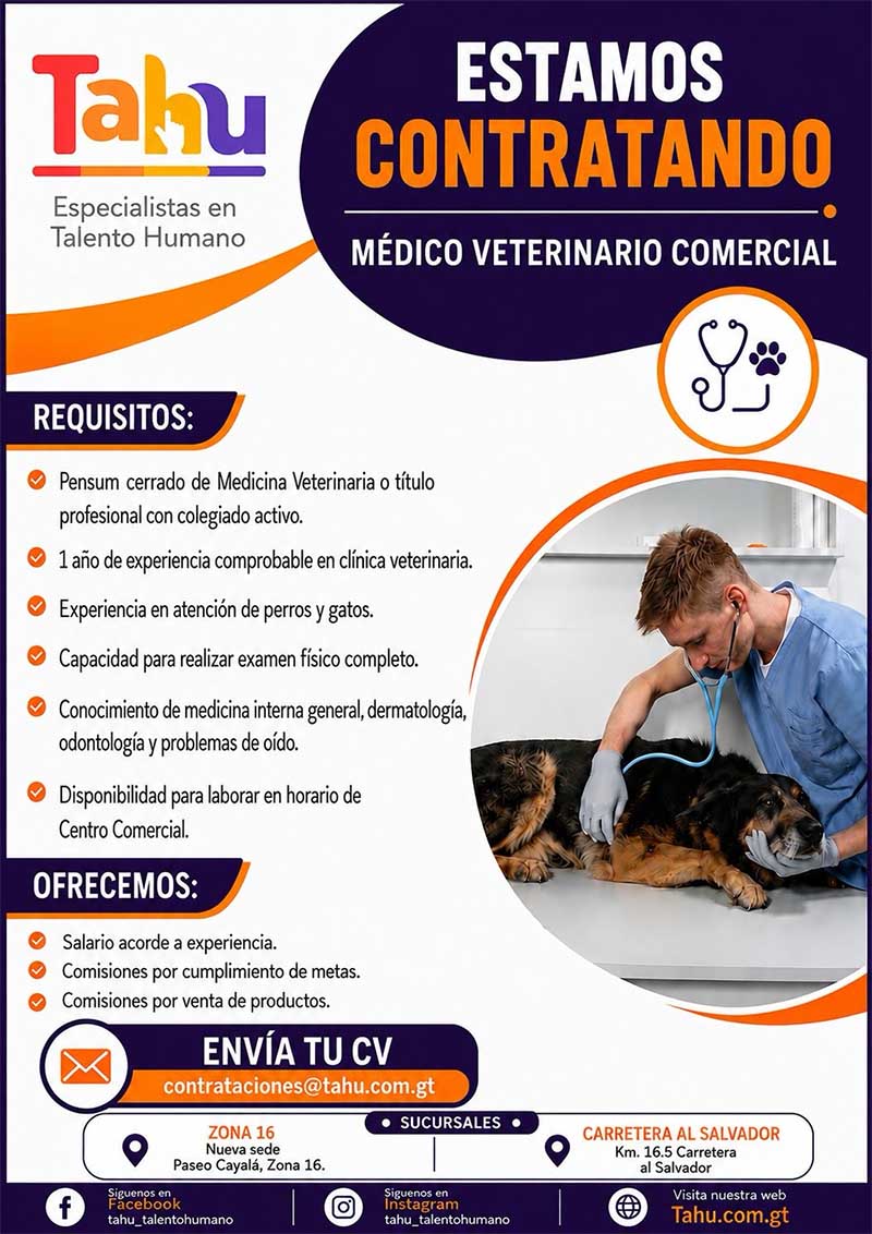 Inicio médico veterinario comercial1